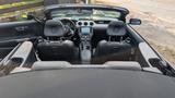 Ford Mustang 5.0 Ti-VCT V8 GT Auto GT - Ford Mustang Gebrauchtwagen in Hannover
