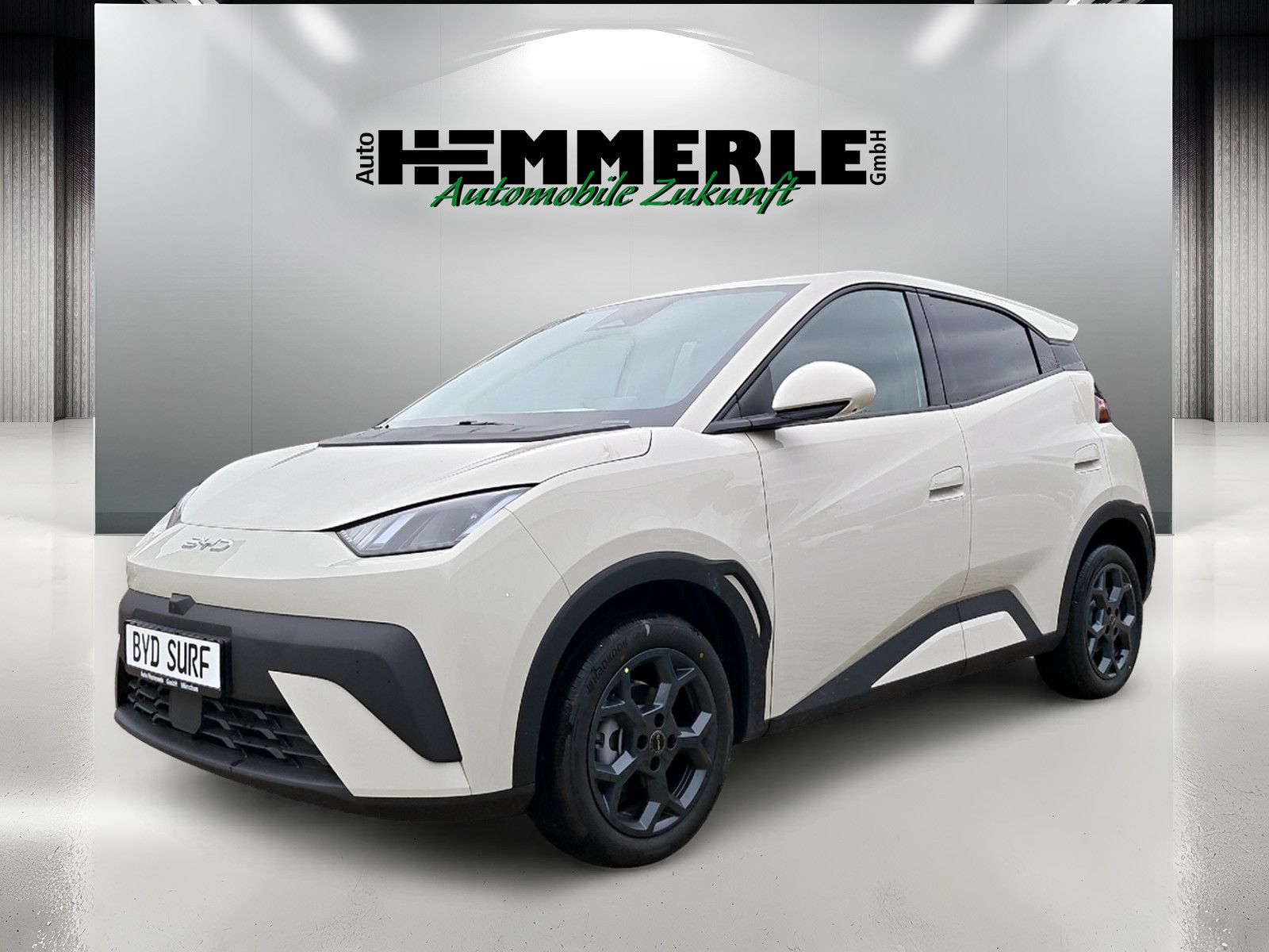 BYD DOLPHIN SURF