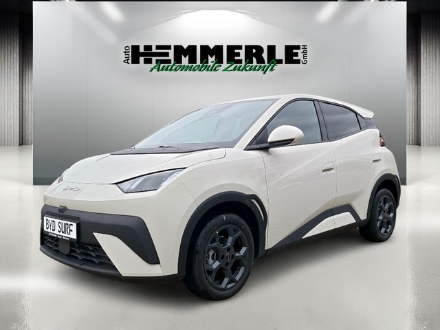 BYD DOLPHIN SURF