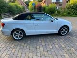 Audi Cabriolet A3 - Audi Cabriolet: Cabrio