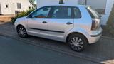 Volkswagen VW Polo 1,4 TDI 51KW/69PS, BJ 2007, TÜV ne... - Volkswagen Polo aus 2007 mit Diesel-Antrieb