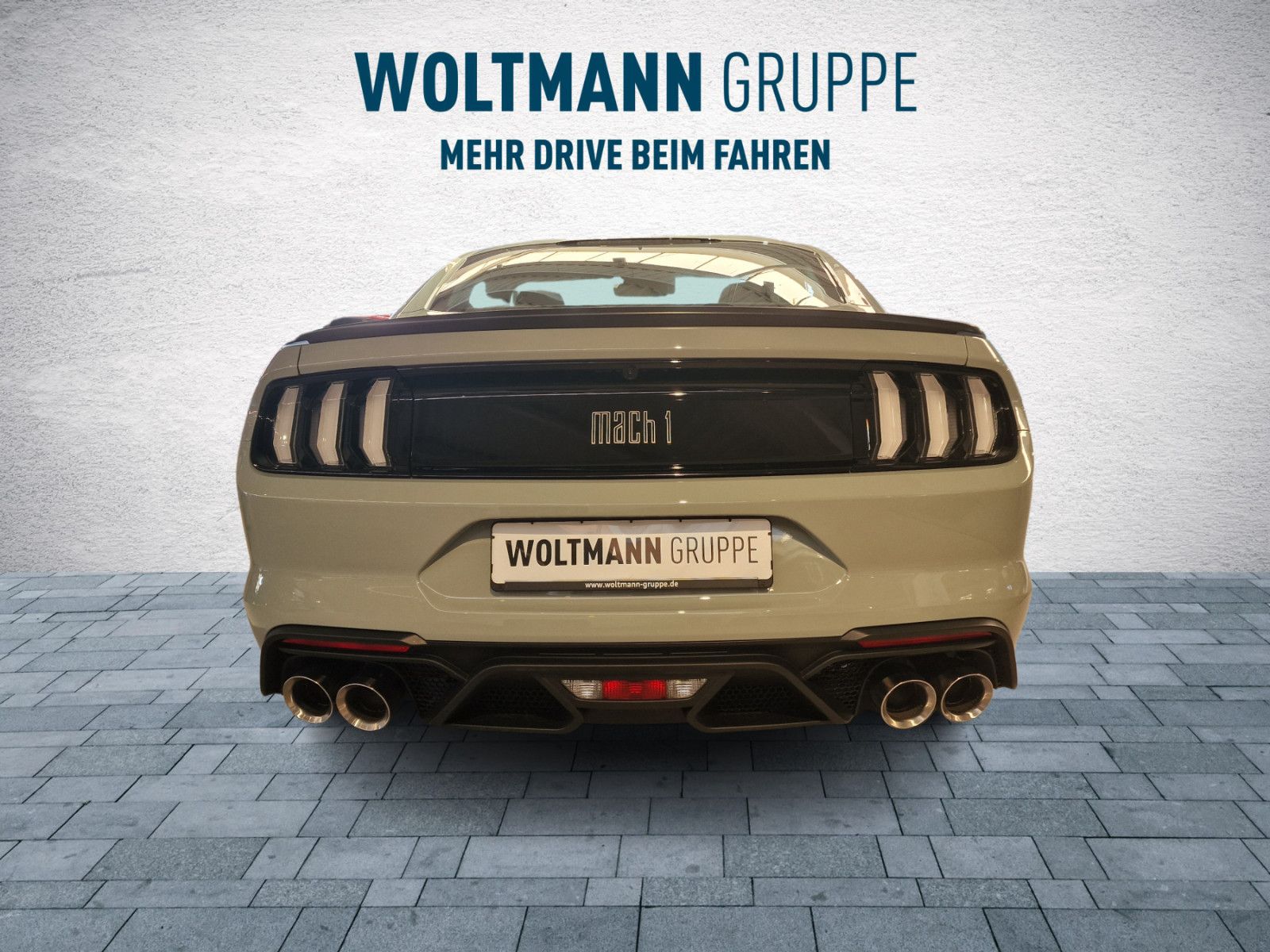 Fahrzeugabbildung Ford Mustang Mach 1 Sonder Edition