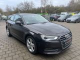 Audi A3 ambition ultra - Audi A3: Braun