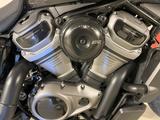 Harley-Davidson RH975 Nightster - HARLEY-DAVIDSON NIGHTSTER