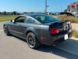 Ford Mustang GT 4,6 L V8 305 PS - Ford Mustang: V6
