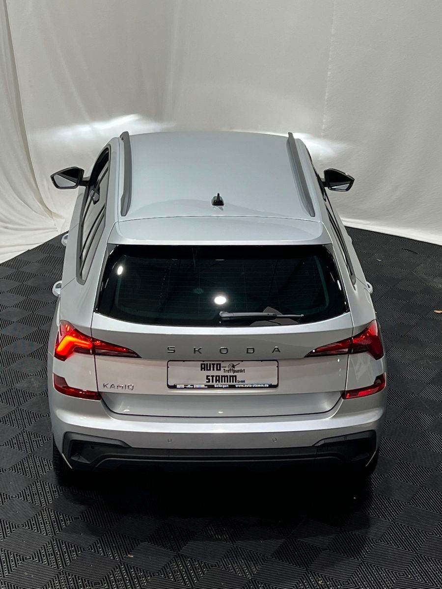 Fahrzeugabbildung SKODA Kamiq Selection / DSG / Kamera / 17 Zoll