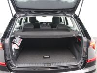Skoda Kamiq - Vorschau Bild 8
