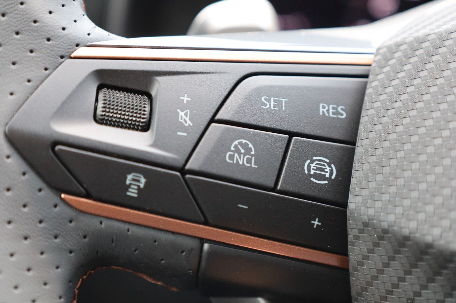 Fahrzeugabbildung CUPRA Leon Sportstourer 1.5 eTSI 110 kW DSG *AHZV