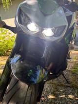 Kawasaki Z1000 ABS weiß/grün Edition - KAWASAKI W1