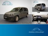 Volkswagen Caddy Maxi ACC PANO STHZ SHZ 2-ZK RFK KZU - Jahreswagen: Van