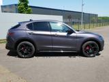 Alfa Romeo Stelvio VELOCE 2.0 TURBO 16V 280 PS AT8 Q4 AHK S - Alfa Romeo Stelvio Tageszulassungen