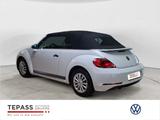 Volkswagen Beetle Cabriolet 1.2 TSi KLIMA PDC KOMFORT - Volkswagen Beetle in Essen