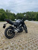 Yamaha MT 125 abs - YAMAHA MT125