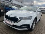 Skoda Octavia Combi 2.0 TDI Scout 4x4 - Skoda Octavia: Allradantrieb, Kombi
