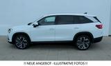Skoda Exclusive 2.0TDi 4x4 STHZ Leder DCC+ PADACH AHK - Gebrauchtwagen in der Nähe & deutschlandweit