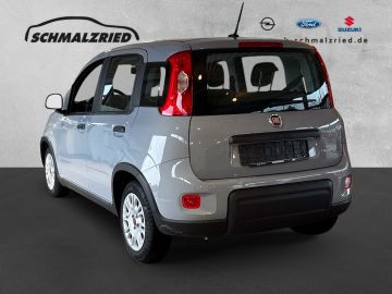 Bild 3 Fiat Panda Base 1.0 Mild Hybrid DAB Klima BT teilb.Rü