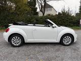 Volkswagen Beetle Cabriolet Design BMT *SHZ* PDC*AUTOMATIK* - Volkswagen Beetle in Wuppertal