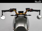 BMW R12 - NAKED BIKE VON 1001 BIS 1500 CCM