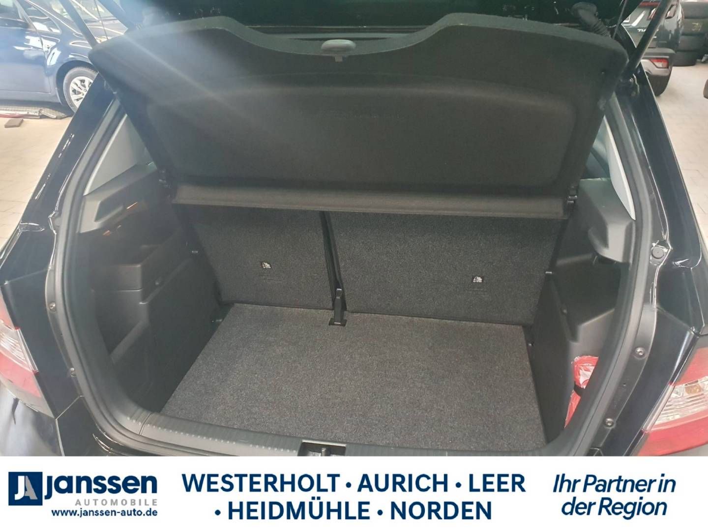 Fahrzeugabbildung SKODA Fabia Joy