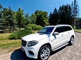 Mercedes-Benz GL 450 GLS 550AMG Original all pack. - Mercedes-Benz GL 450 Gebrauchtwagen