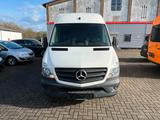 Mercedes-Benz Sprinter II Kasten  MAXI/PDC/HU&AU NEU - Mercedes-Benz Sprinter in Rostock