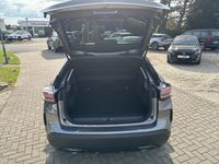 Citroën C4 - Vorschau Bild 5