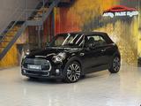 MINI Cooper Cabrio Aut.~LED~NAVI~SHZ~PDC - MINI in München