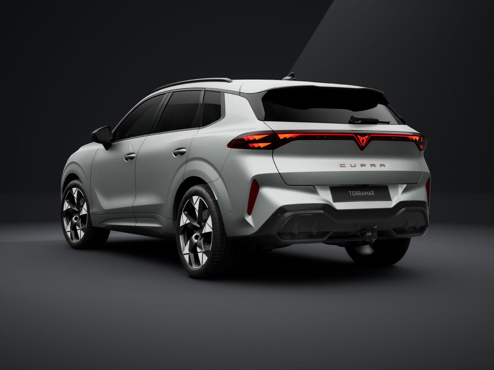 Cupra Terramar 2.0 TSI Matrix PANO AHK Sennheiser 360°