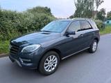 Mercedes-Benz ML 350 Bluetec - Mercedes-Benz ML 350 in Dortmund