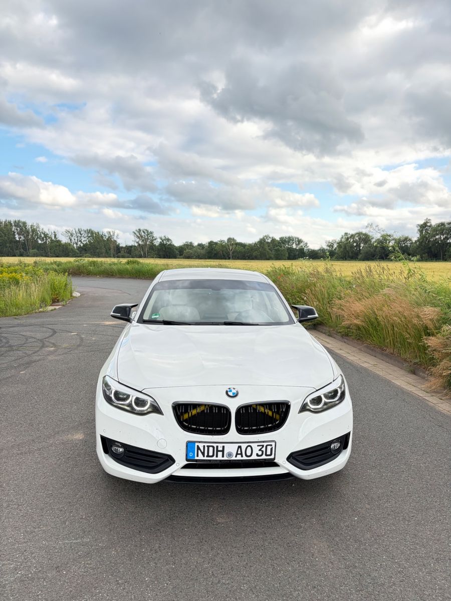 BMW 220i Steptronic Coupé Advantage Advantage