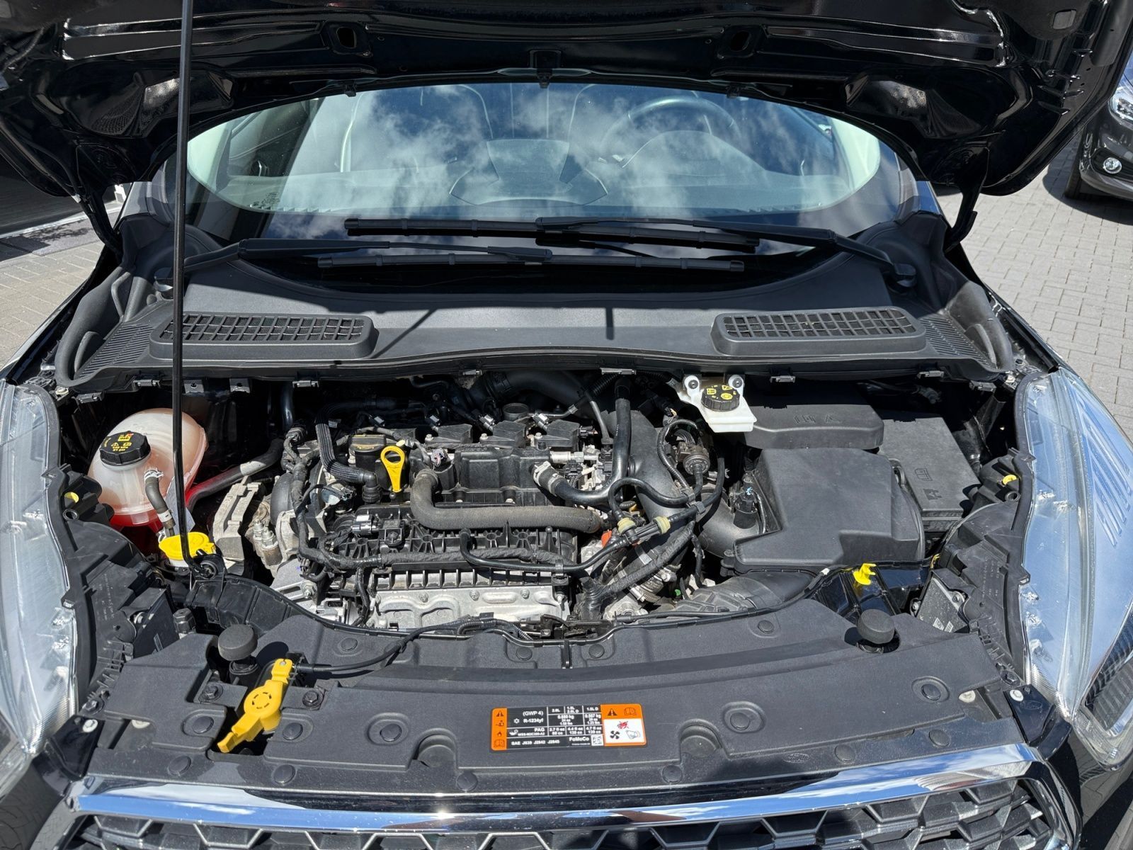 Fahrzeugabbildung Ford Kuga 1.5 EcoBoost Vignale 4x4 OPF RFK AHK