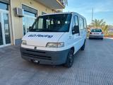 Fiat Ducato 10 2.5 TD EGR PC Panorama 9 posti - gebrauchte Fiat Ducato aus dem Jahr 1998