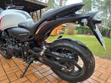 Honda Hornet CB600FA - HONDA HORNET