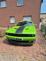 Dodge Challenger 3,6 l BJ 2017 Grün/Schwarz - Dodge Challenger: Coupe