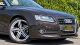 Audi A5 Cabriolet 2.0 TDI-Navi-Leder-Xenon-Sportsitze - Audi A5: Braun, Leder