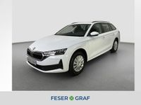 Skoda Octavia - Vorschau Bild 1