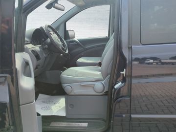 Mercedes Viano - 10