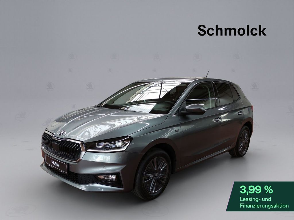 Skoda Fabia Tour 1.0 MPI 80PS RFK DAB GRA LED PDC