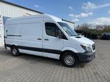 Mercedes-Benz Sprinter 316 TüV -Inspektion Neu! Motor Überholt - Mercedes-Benz Sprinter: Motor