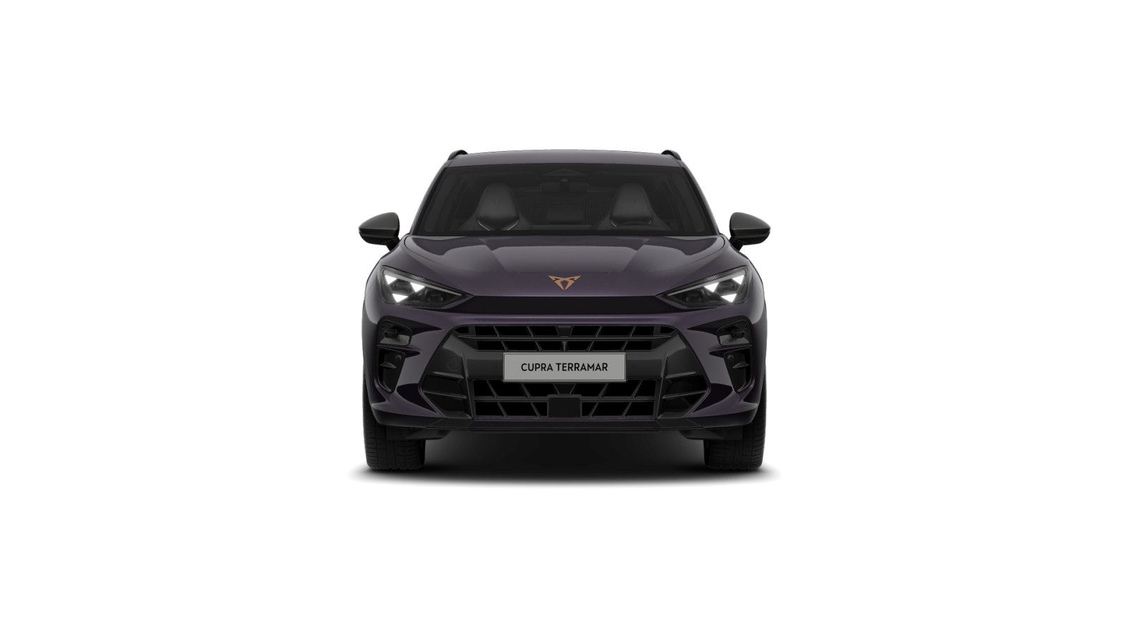 Cupra Terramar - Bild 3