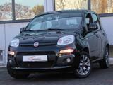 Fiat Panda 1.2 8V LOUNGE Klimaanlage PDC - Fiat Panda Gebrauchtwagen in Düsseldorf