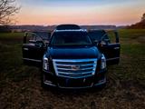 Cadillac Escalade 6.2 V8 Platinum ESV Autom. Platinum - Cadillac Escalade aus 2016