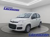 Fiat Panda 1.0 70PS Klima DAB Spurhalteass. Verkehrsz - Fiat Panda aus 2025