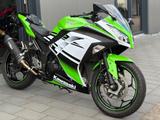 Kawasaki Ninja 300 *30th Anniversary*Sportauspuff* - Offers