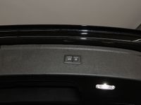 Audi SQ5 - Vorschau Bild 8