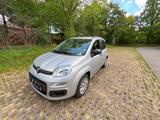 Fiat New Panda 1.2 8V MY PANDA MY PANDA | KLIMA - Fiat New Panda in München