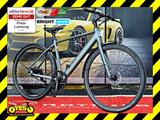 TENWAYS CGO600 Pro 16kg Reingewicht Carbon-Riemen M,L,XL - TENWAYS E-Bikes