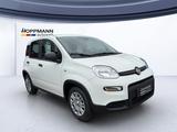 Fiat Panda Base Einparkhilfe Klima Radio Bluetooth - Fiat Panda Neuwagen mit Benzin-Antrieb