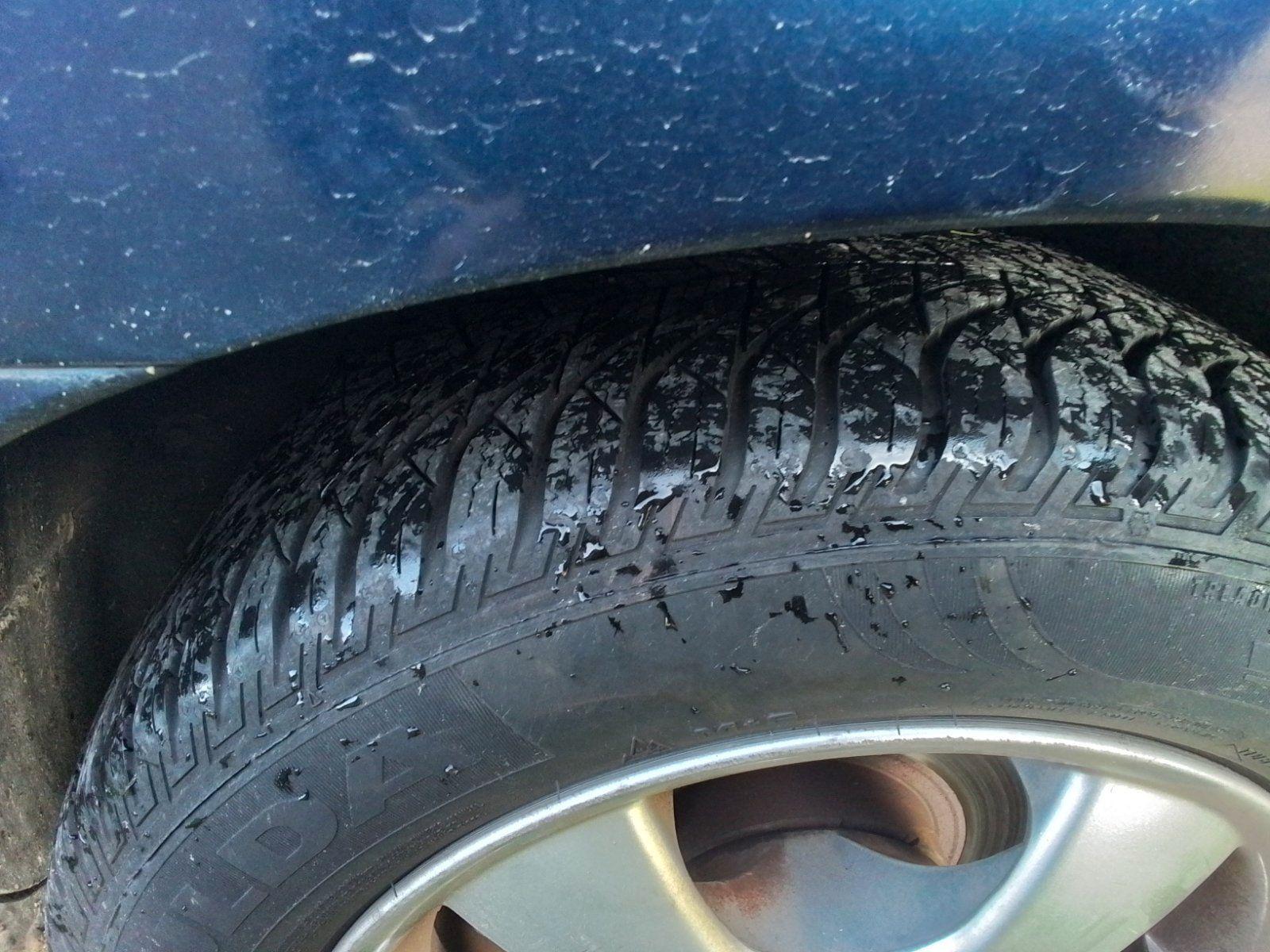 Kia Carens 2006 — photo 15
