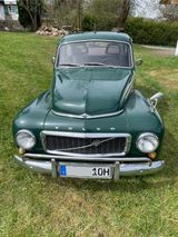 Volvo P544 Buckelvolvo, Oldtimer, vintage car - Volvo: P544